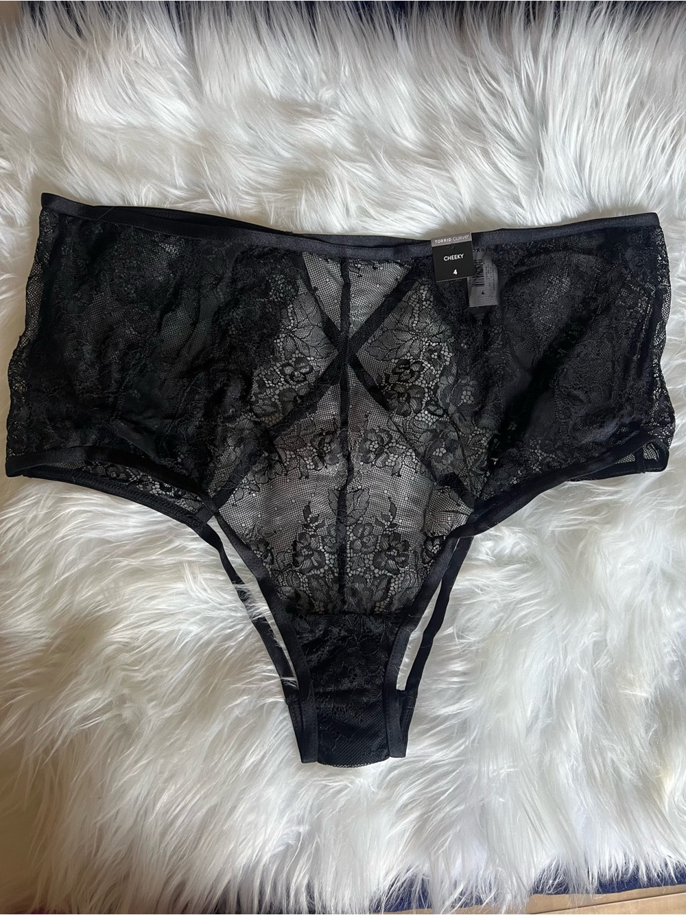 torrid Black Sheer Floral Lace Cheeky Panty